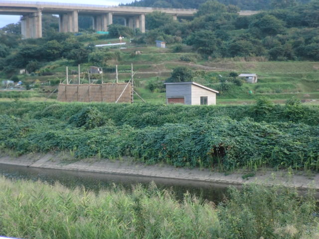 CIMG6801