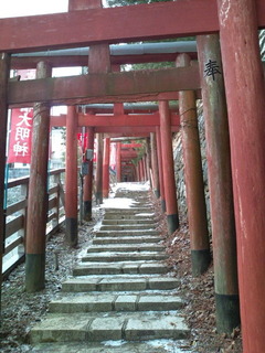 20120209131457