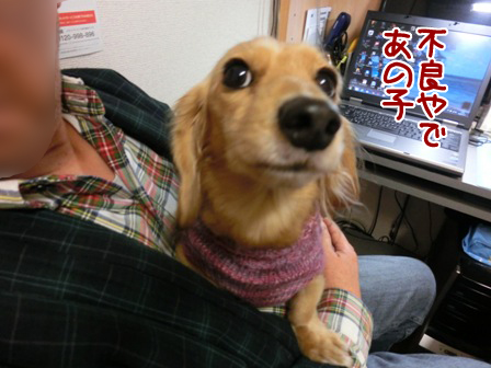 201512112.jpg