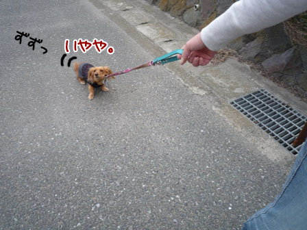 012_20111020235515.jpg