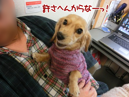 201512113.jpg