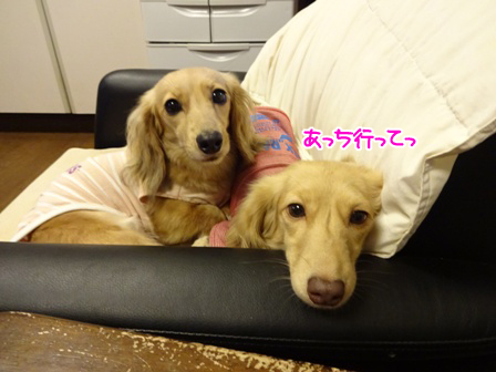 003_2015081222451599f.jpg