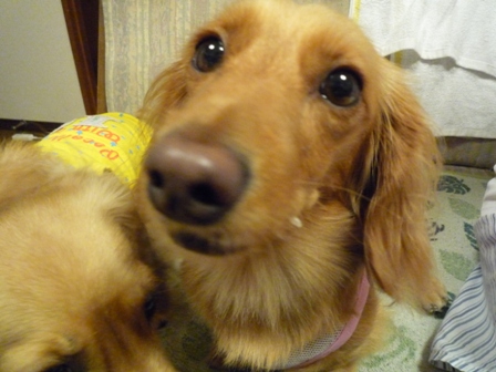 006_20110715002256.jpg