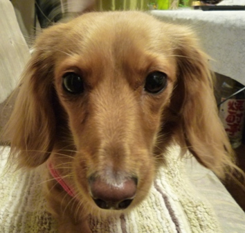 001_20120410225856.jpg