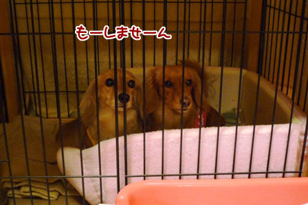 010_20120411232335.jpg