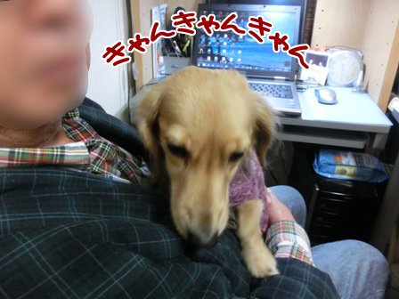 201512111.jpg