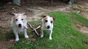 35205573_1746454302135415_5076206767512223744_n