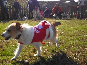クリスマスうじゃっく後編19