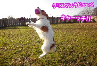 クリスマスうじゃっく後編26