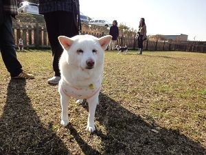 クリスマスうじゃっく後編8
