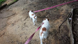 35282742_1746454248802087_2104085915461746688_n