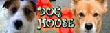 DOG HOUSEへ