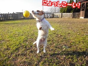 クリスマスうじゃっく後編25