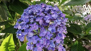 35193514_1746454502135395_420776301016645632_n