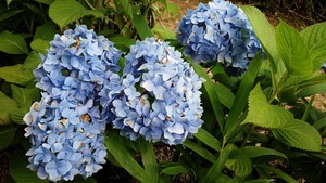 35205571_1746454425468736_1611427199238275072_n