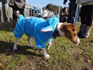 クリスマスうじゃっく後編4