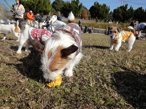 クリスマスうじゃっく後編9