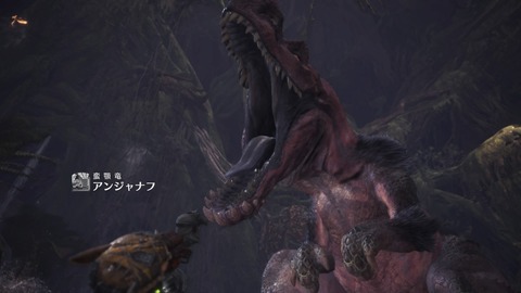 モンスターハンター:ワールド_20180128012148