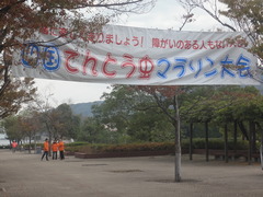 DSC03824