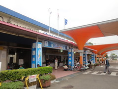 DSC03644