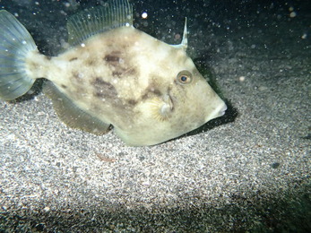 P8240815