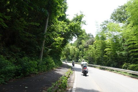 DSC00798