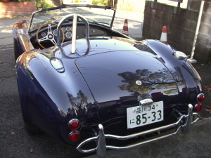 97ea572b.jpg