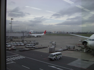 f83e5d13.jpg