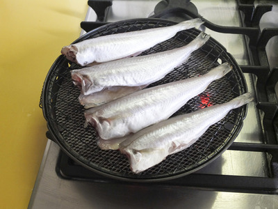 fish08