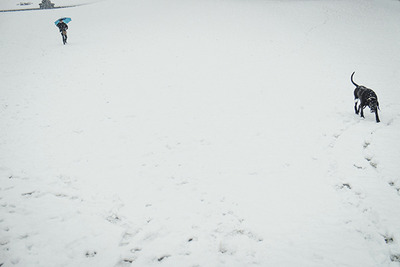 snow12 blog