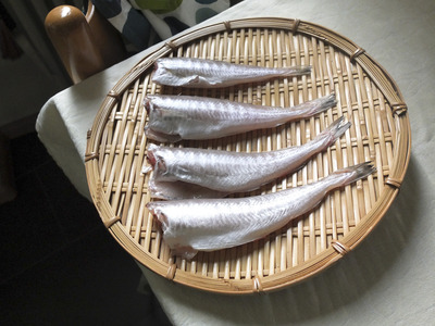 fish07