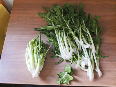 puntarelle2