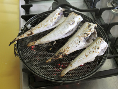 fish09