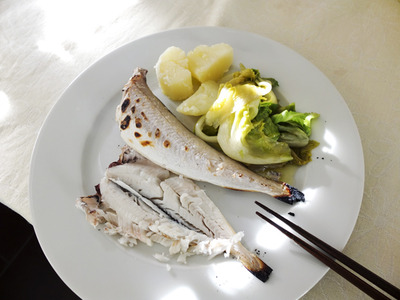 fish10