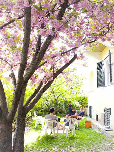 hanami8