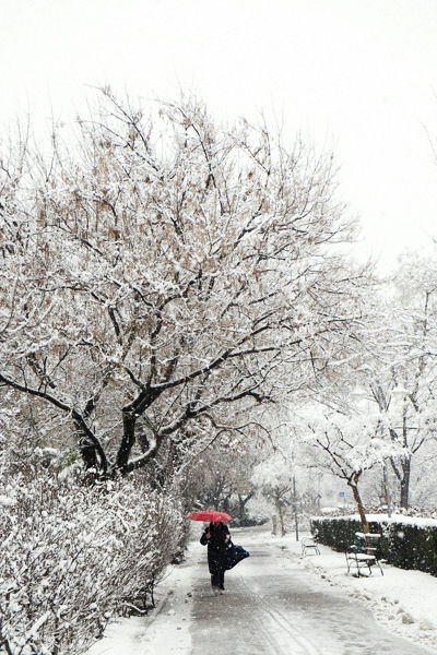 snow blog06