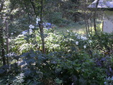 2010112011