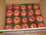 2010120401