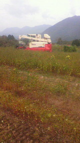 718ac641.jpg
