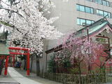 DSCN4084