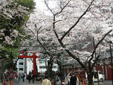 DSCN4082