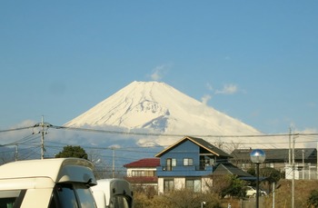 061