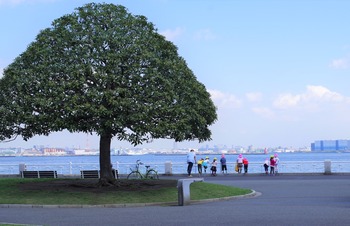 IMGP3415
