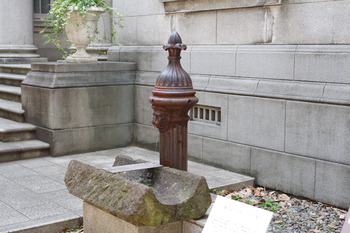 IMGP2727