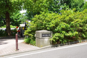 IMGP3516