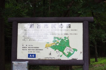 IMGP5968