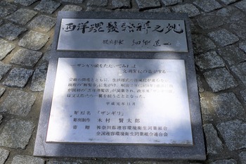 IMGP3421