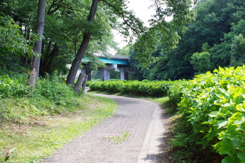 IMGP2698
