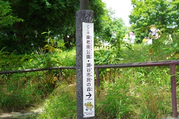 IMGP3513