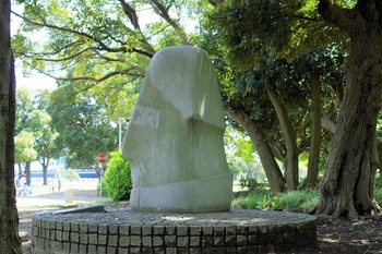 IMGP3423